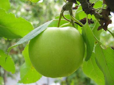 bí quyết giảm cân