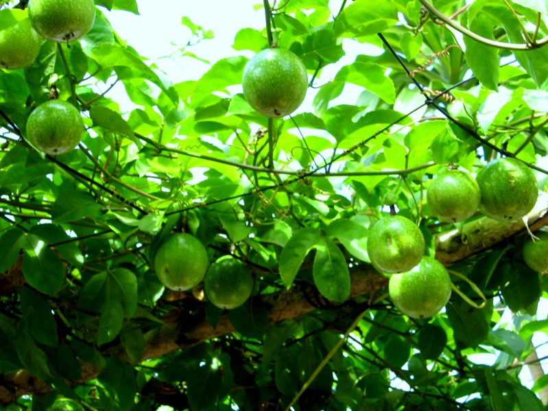 bí quyết giảm béo hiệu quả