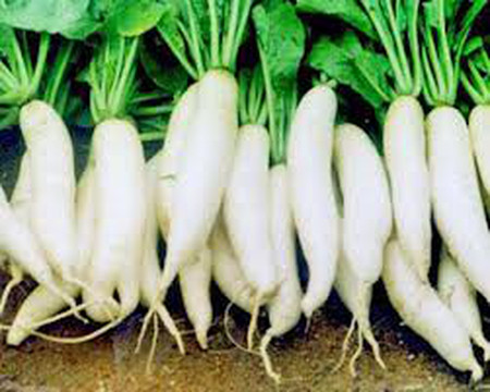 bí quyết giảm béo hiệu quả