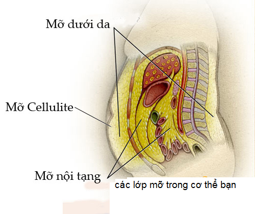 giảm cân an toàn là như nào?