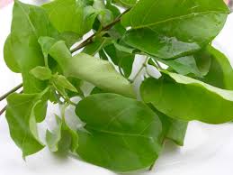 bí quyết giảm cân của người xưa