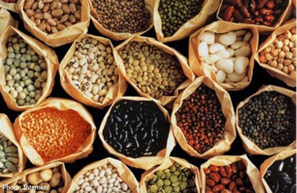 thực phẩm giàu chất xơ